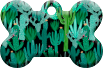Cactus_02
